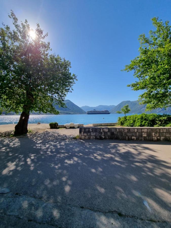 Studio On The Coast, With A View Of The Sunrise,Free We-Fi Kotor Buitenkant foto