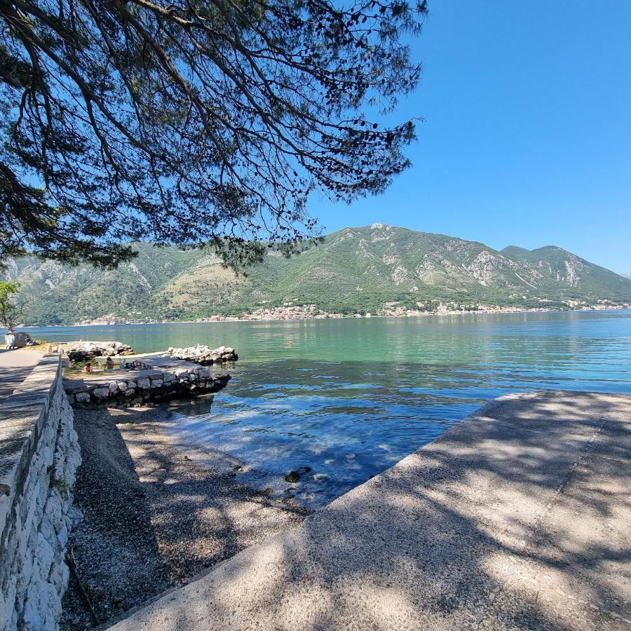Studio On The Coast, With A View Of The Sunrise,Free We-Fi Kotor Buitenkant foto